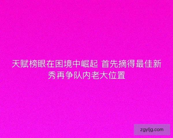 天赋榜眼在困境中崛起 首先摘得最佳新秀再争队内老大位置